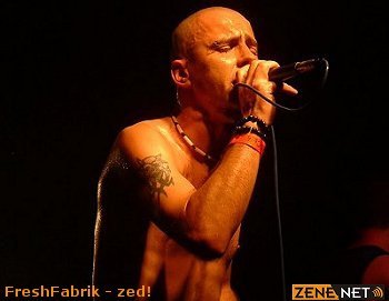 FreshFabrik - Zed!