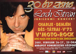 30 év zene